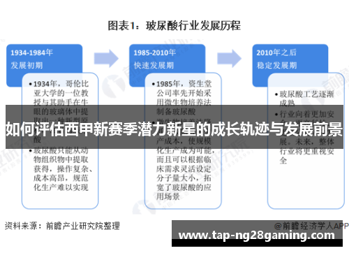如何评估西甲新赛季潜力新星的成长轨迹与发展前景