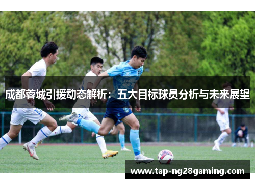 成都蓉城引援动态解析：五大目标球员分析与未来展望