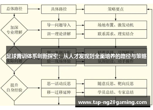 足球青训体系创新探索：从人才发现到全面培养的路径与策略